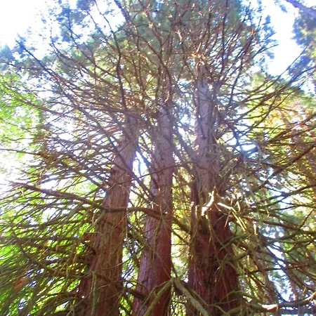 бутикови за гости- Felicita